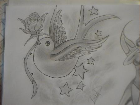 l'oiseau