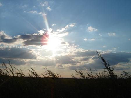 Soleil et Bambou